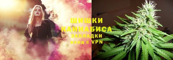 спайс Инта
