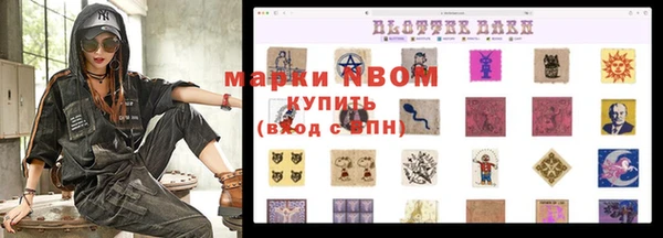 спайс Инта