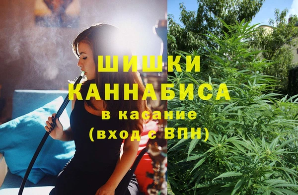 спайс Инсар