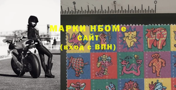 спайс Инта
