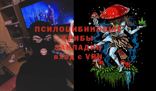 спайс Инсар