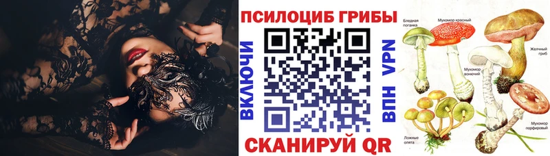 Псилоцибиновые грибы мицелий  купить наркотики цена  Кызыл 